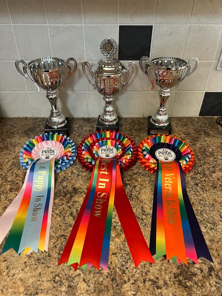 Trophies for Dog Show