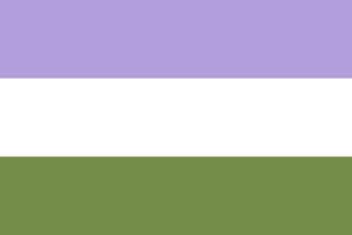 Gender Queer flag