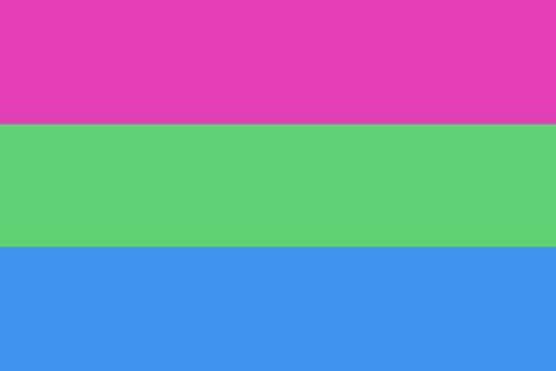 Polysexual flag