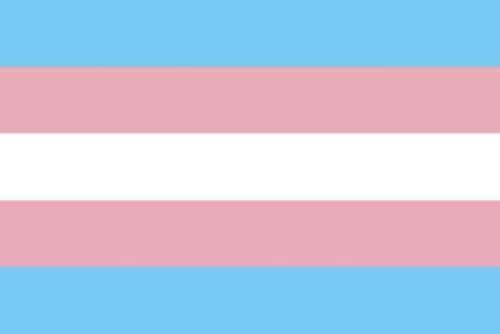 Transgender flag