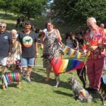 Dog Show competitors