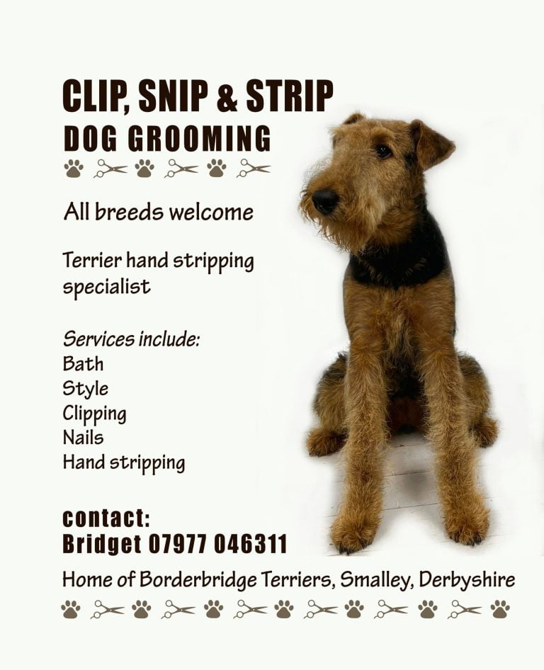 Clip Snip & Strip advert with photo of terrier